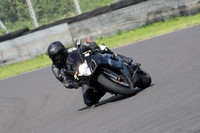 Fowlers 0495