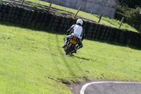 Fowlers 0665