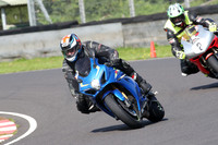 Fowlers 0673