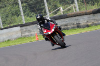 Fowlers 0774
