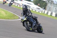 Fowlers 0874