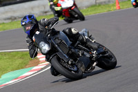 Fowlers 0887