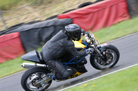 Fowlers 0565