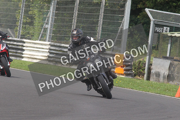 BIKES 1600