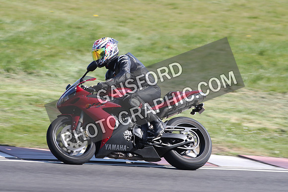 BIKES 2117