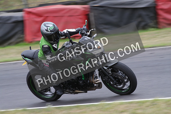 BIKES 1137