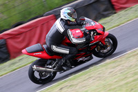 Fowlers 0593