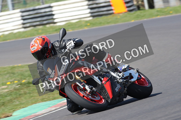 BIKES 0833