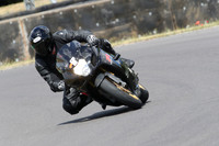 BIKES 0984