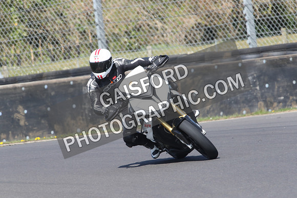 BIKES 0878