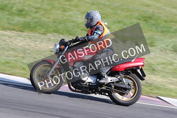 BIKES 2128