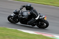 CC BIKE TD 0667