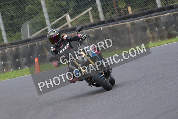 BIKES 0715