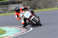 Fowlers 0799