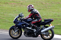 Fowlers 1256