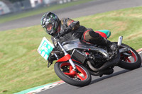 Fowlers 0766