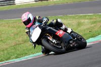 Fowlers 0989
