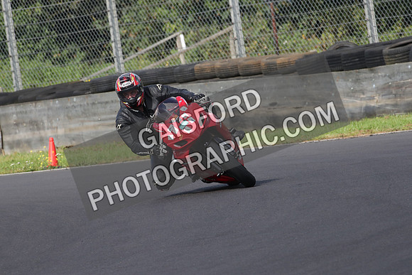 Fowlers 1000