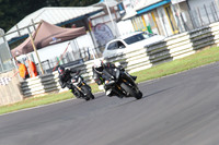 Fowlers 0496