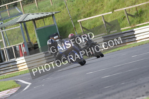 Fowlers 0217