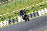 Fowlers 0301