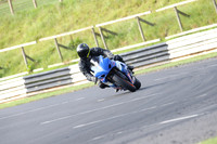 Fowlers 0355