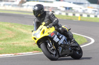 Fowlers 0678