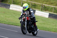 Fowlers 0338