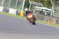 BIKES 1377