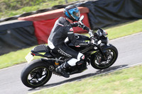 BIKES 1816