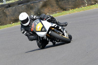 Fowlers 0628