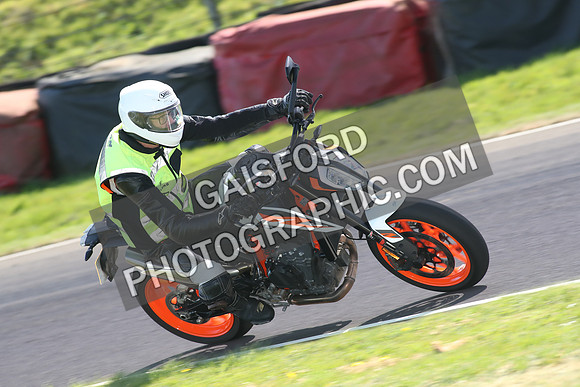 BIKES 1711