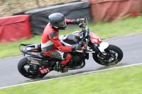 Fowlers 0657