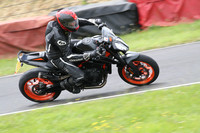 Fowlers 0658