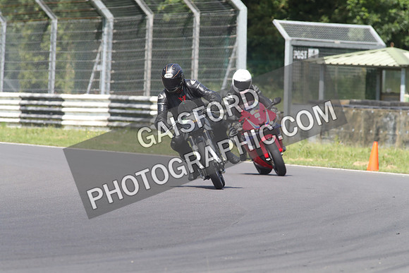 BIKES 1619