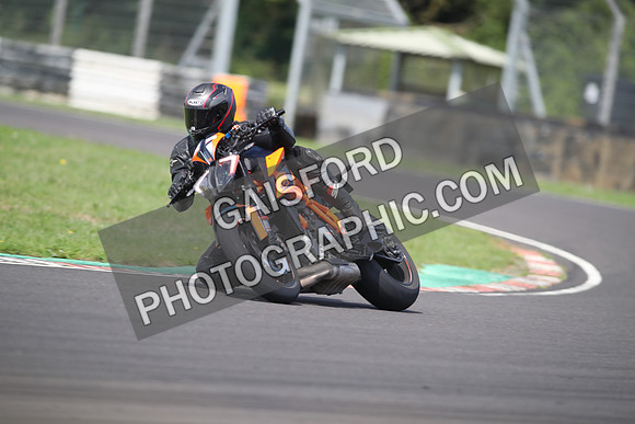 BIKES 1428