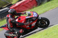 Fowlers 0690