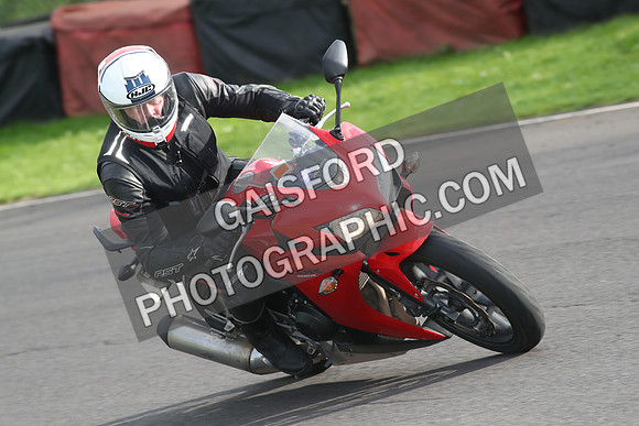 TVAM 1336