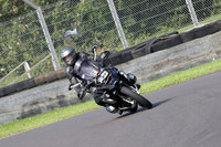 TVAM 0517