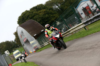 ( Instructors )