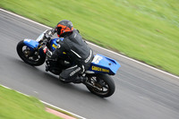 Fowlers 1424