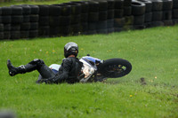 Fowlers 0680