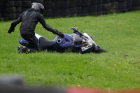Fowlers 0684