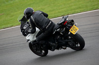 Fowlers 1259