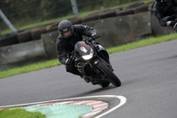 Fowlers 0790