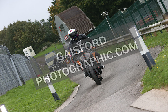 Fowlers 0175