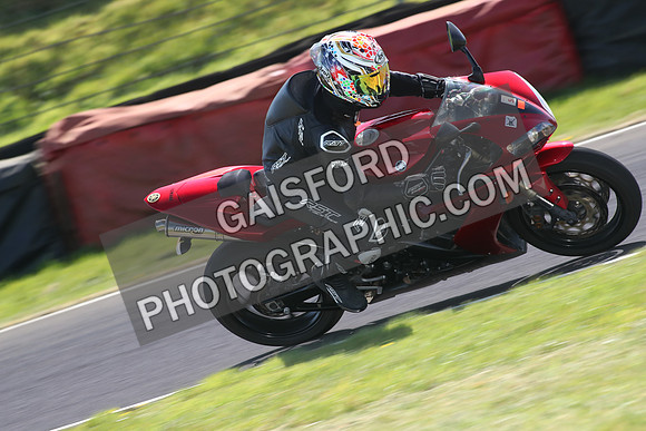 BIKES 1590