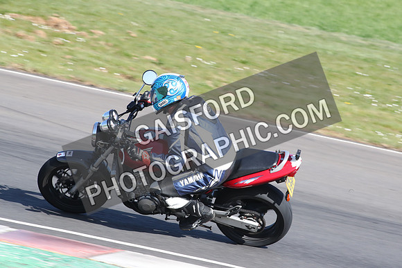 BIKES 2147