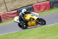Fowlers 0585