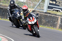 BIKES 0799